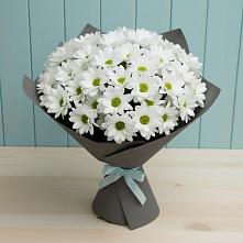 Букет цветов из:  Хризантемы #REPLACE_PRED# Ессентуки