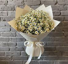 Букет цветов из:  Ромашки #REPLACE_PRED# Ессентуки