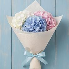 Букет цветов из:  Гортензия в Ессентуки