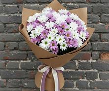 Букет цветов из:  Хризантемы в Ессентуки