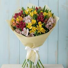 Букет цветов из:  Альстромерии в Ессентуки