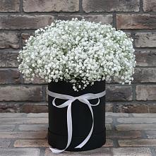 Цветочная композиция из Гипсофила в шляпной коробке в Ессентуки