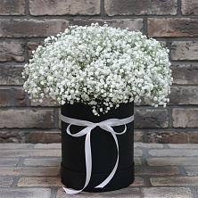 Цветочная композиция из Гипсофила в шляпной коробке в Ессентуки