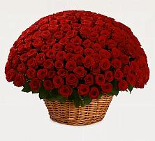 Премиум букет из: Розы в Ессентуки