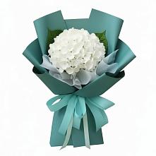 Букет цветов из:  Гортензия в Ессентуки